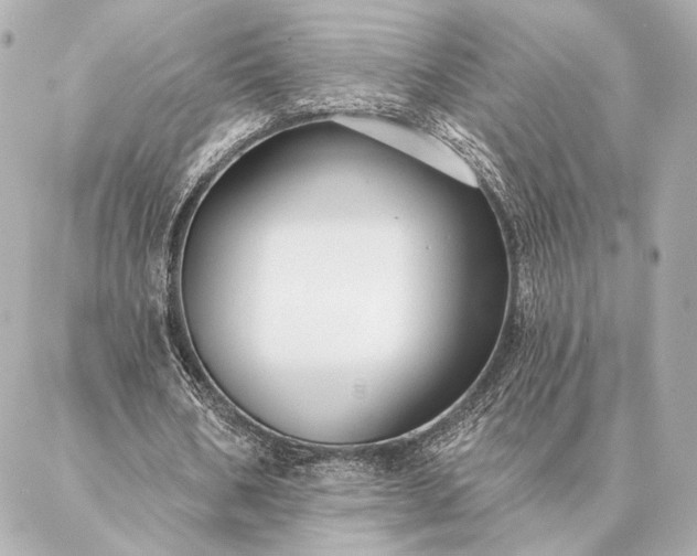 X0000086950578200704231428