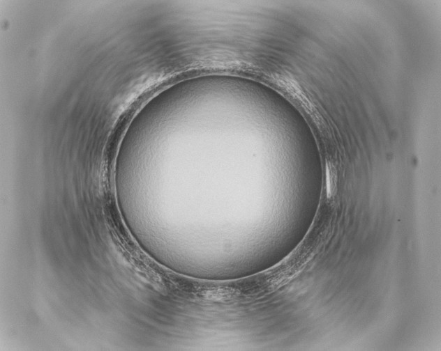 X0000086950579200704231428