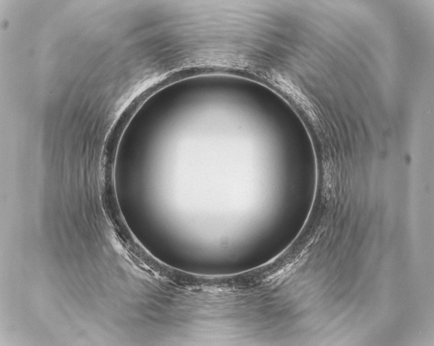 X0000086950580200704231428