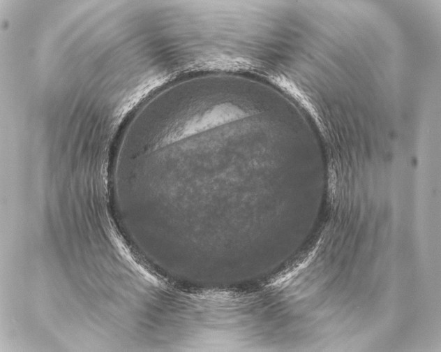 X0000086950581200704231428