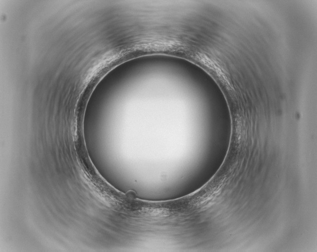 X0000086950582200704231428