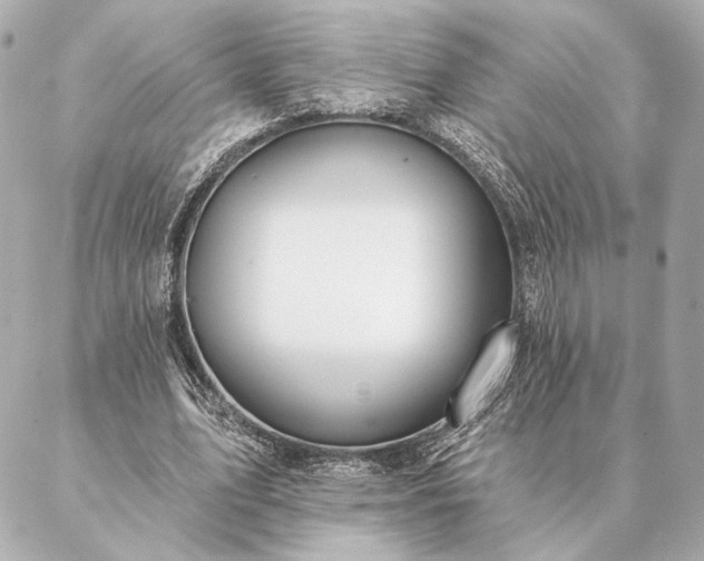 X0000086950583200704231428