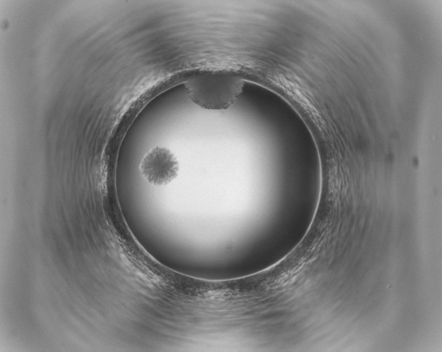 X0000086950584200704231428