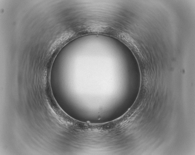 X0000086950586200704231428