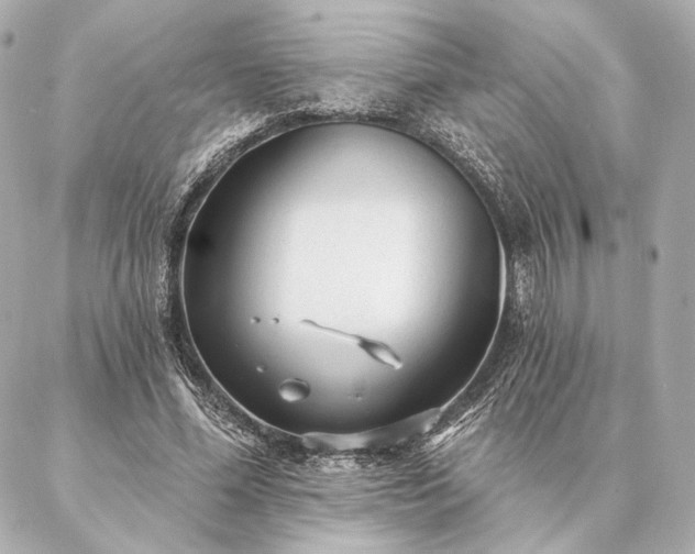 X0000086950588200704231427