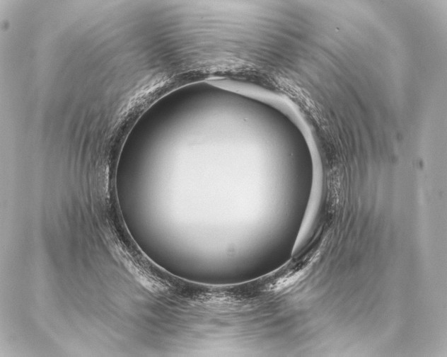 X0000086950589200704231427