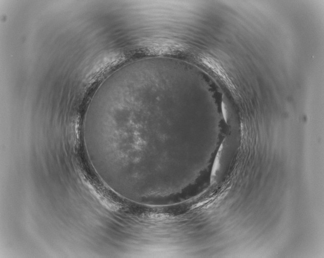 X0000086950590200704231427