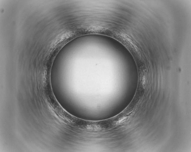 X0000086950591200704231427