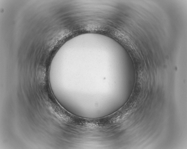 X0000086950592200704231427