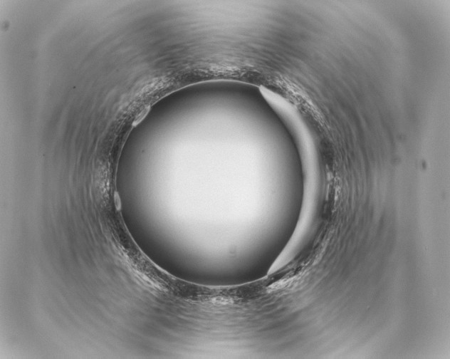 X0000086950593200704231427