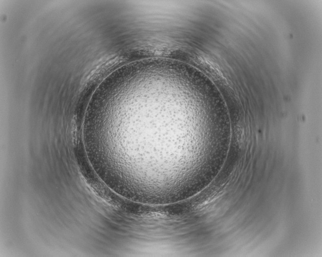 X0000086950594200704231427