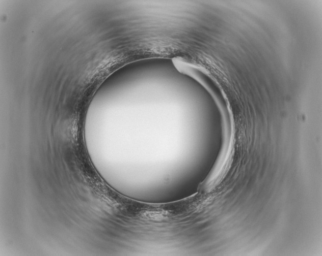 X0000086950595200704231427