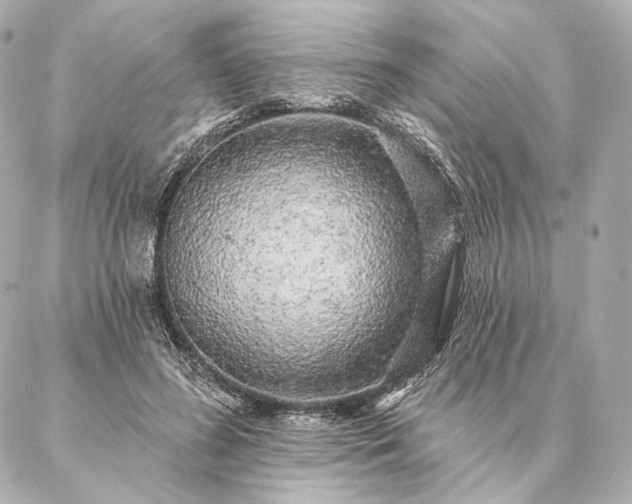 X0000086950596200704231427