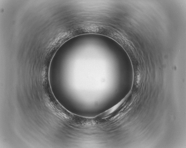 X0000086950600200704231427