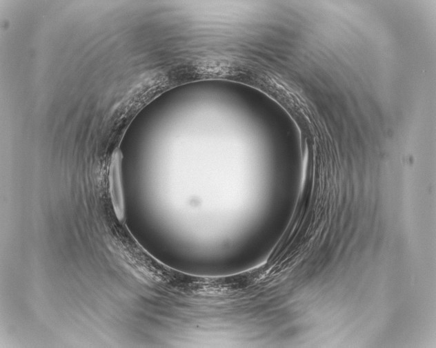 X0000086950601200704231427