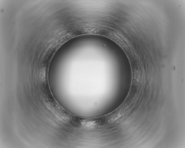 X0000086950602200704231427