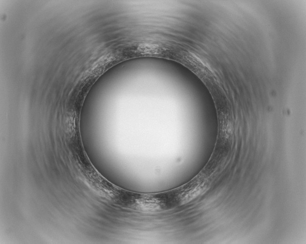 X0000086950603200704231427