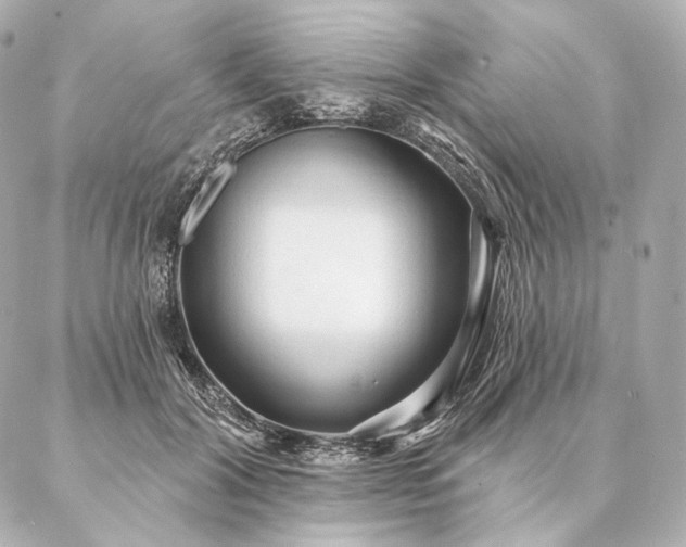 X0000086950604200704231427