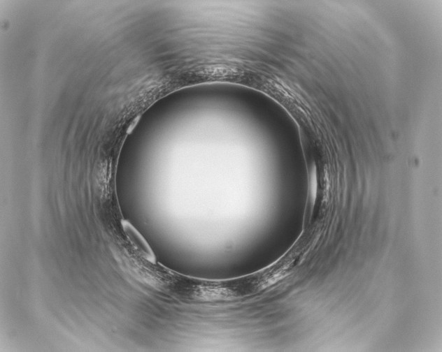 X0000086950605200704231427