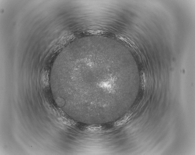 X0000086950606200704231427