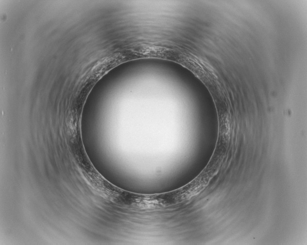 X0000086950607200704231427