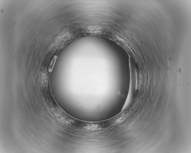 X0000086950609200704231427