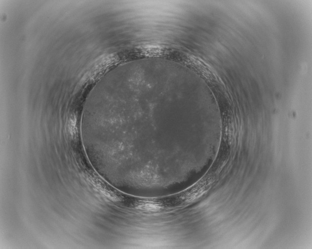 X0000086950610200704231427