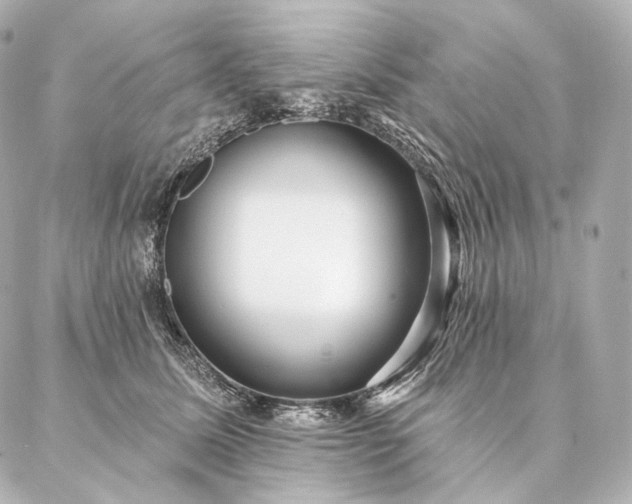 X0000086950611200704231427