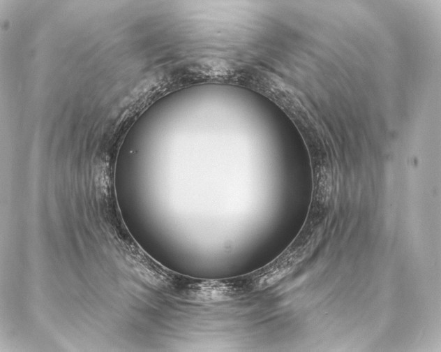 X0000086950612200704231427