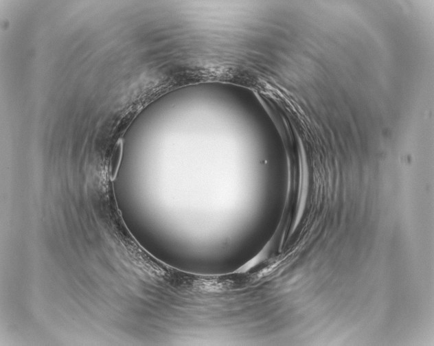 X0000086950613200704231427