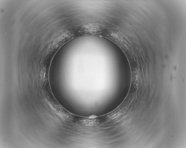 X0000086950615200704231427