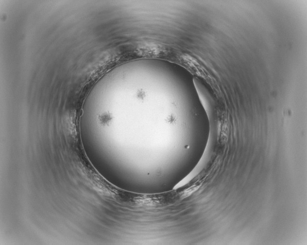 X0000086950616200704231427