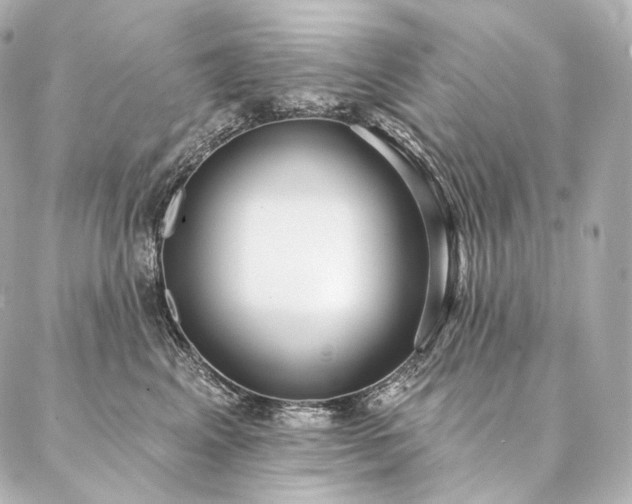 X0000086950617200704231427