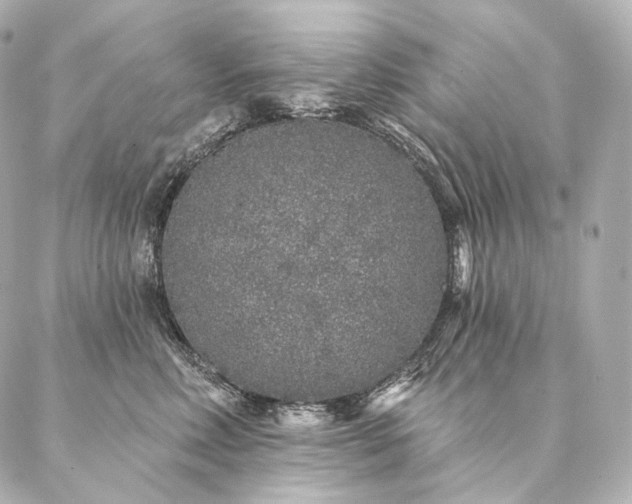 X0000086950618200704231427