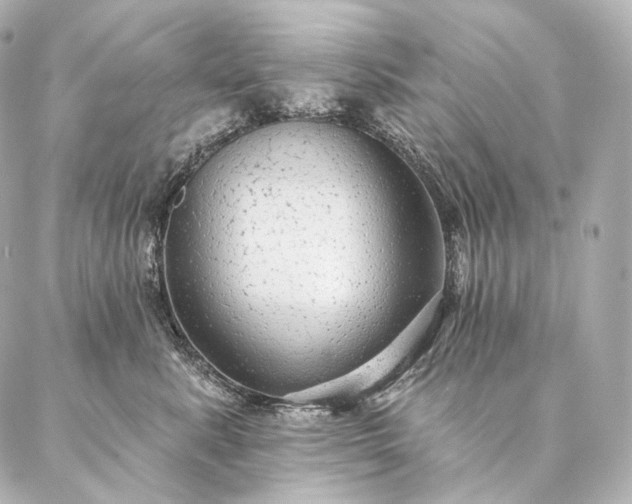 X0000086950619200704231427