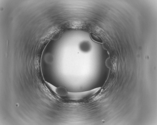 X0000086950620200704231427