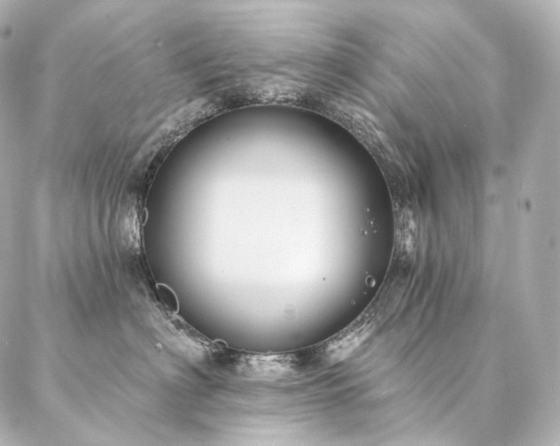 X0000086950622200704231427