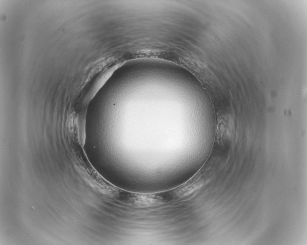 X0000086950623200704231427