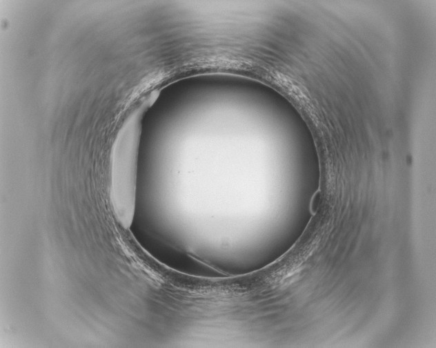 X0000086950625200704231426