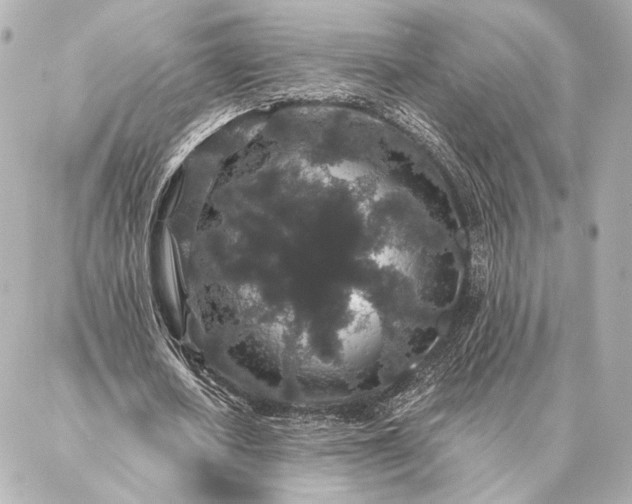 X0000086950626200704231426