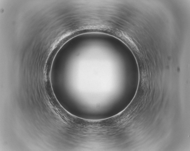 X0000086950628200704231426