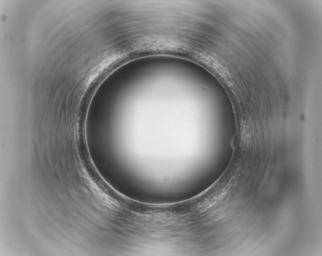 X0000086950629200704231426