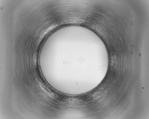 X0000086950632200704231426