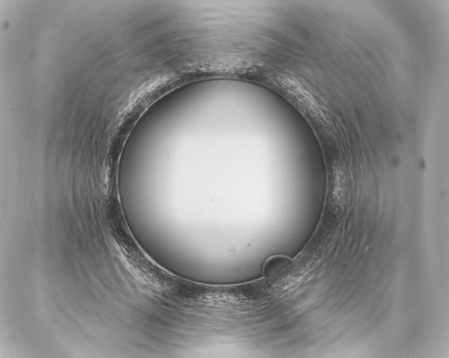 X0000086950636200704231426