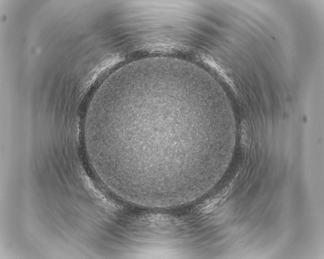 X0000086950637200704231426