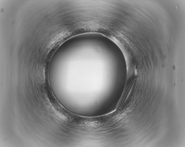 X0000086950638200704231426