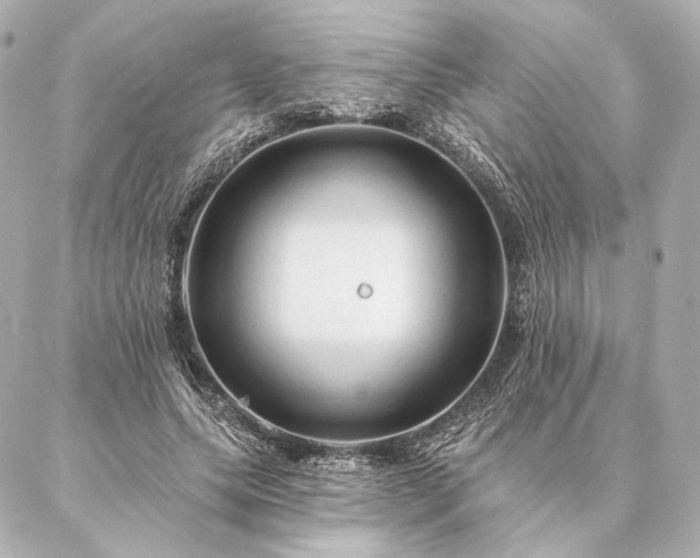 X0000086950639200704231426