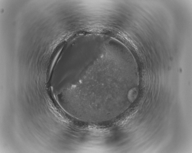 X0000086950641200704231426