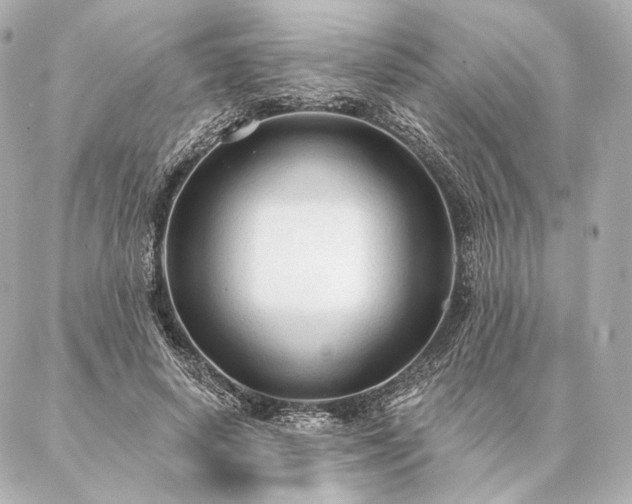 X0000086950642200704231426