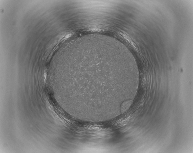 X0000086950643200704231426